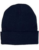 Winning Spirit - Roll Up Rpet Knit Beanie - CH61