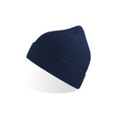 Legend Life - A4520 Andy Recycled Beanie